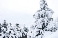 你在北方看大雪纷飞 我在南方的艳阳里四季如春